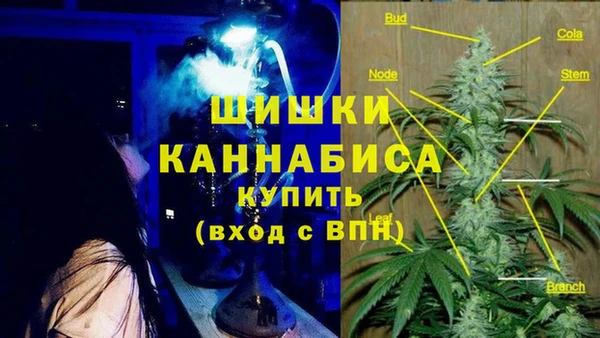 PSILOCYBIN Чита