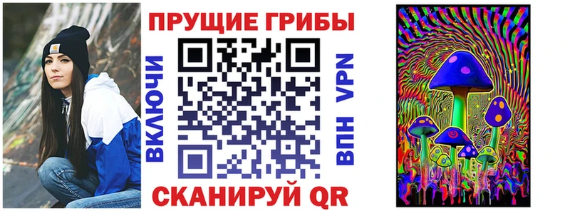 Галлюциногенные грибы мицелий  где купить   Карасук 