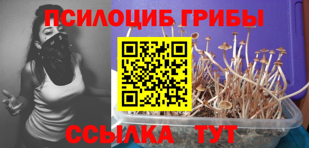 Псилоцибиновые грибы Magic Shrooms Карасук