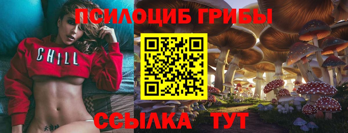 Галлюциногенные грибы Psilocybine cubensis Карасук