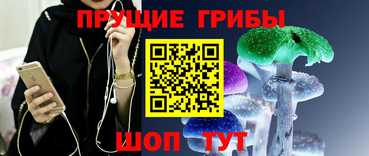 Псилоцибиновые грибы ЛСД  Вход с VPN  Псилоцибиновые грибы Psilocybe  Карасук 