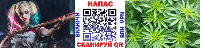 Бошки марихуана THC 21%  Карасук 